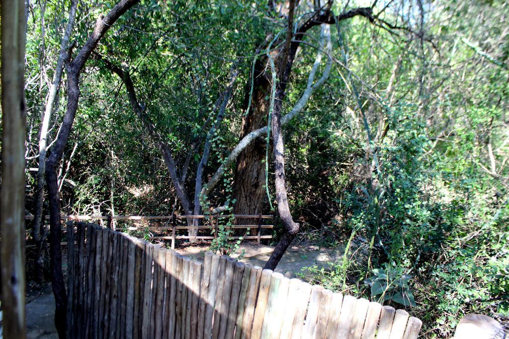 Amanzimlotzi Riverside Bush Camp Hoedspruit Exterior photo