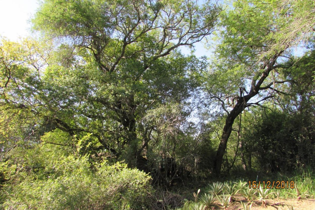 Amanzimlotzi Riverside Bush Camp Hoedspruit Exterior photo